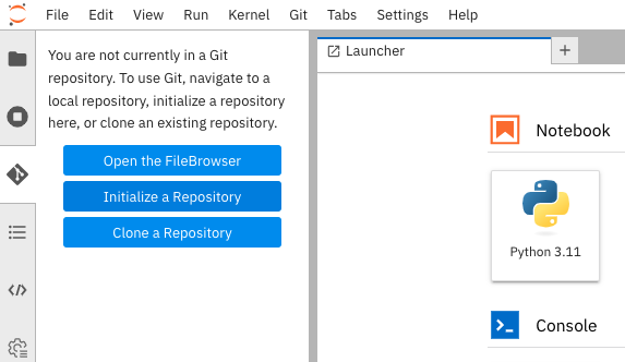 Git import