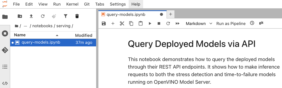 Query endpoints Notebook
